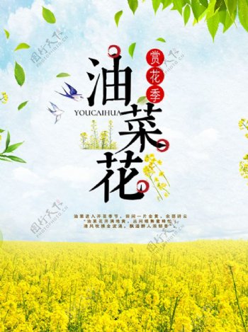 油菜花赏花季春游海报