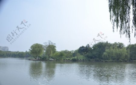 吴江公园实拍
