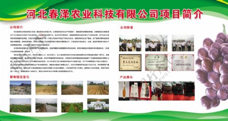 农村企业农产品展示