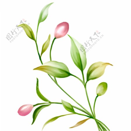 小清新手绘植物叶子春天元素