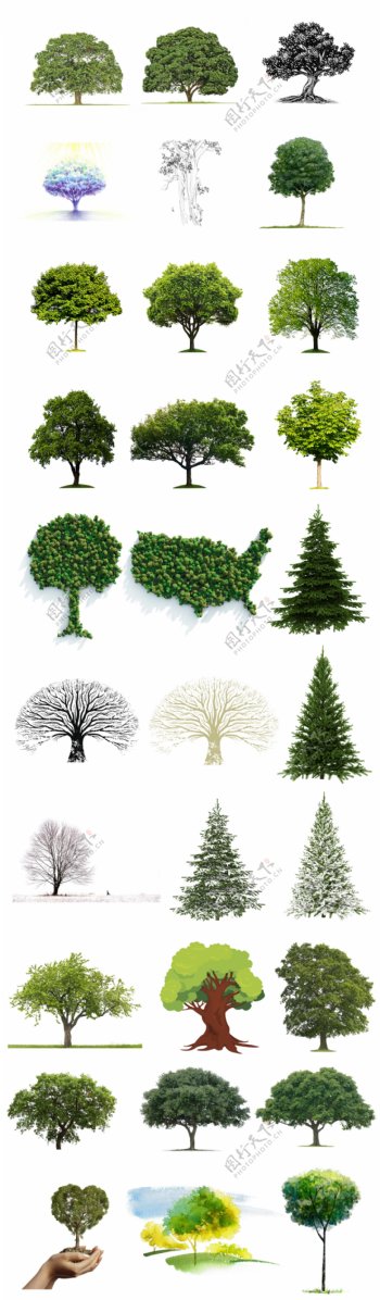 绿化绿树素材