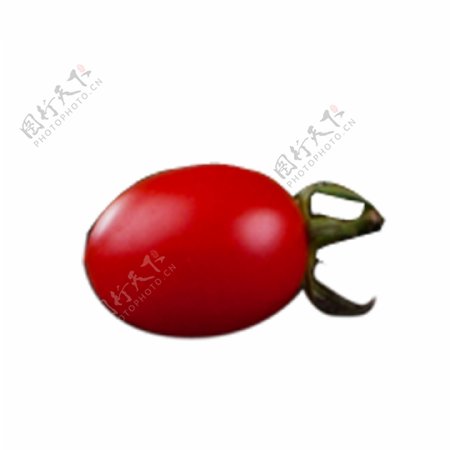 红色圆弧西红柿食物元素