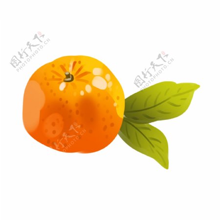 创意美味柑橘插画