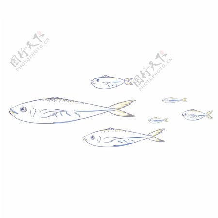 海洋鱼花边蓝色金色鲅鱼鱼群水彩清新纹饰