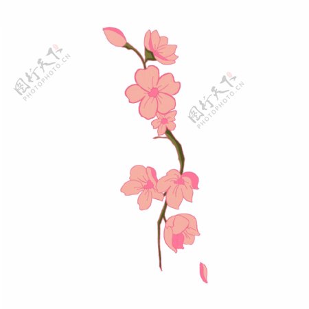美丽的粉色樱花插画