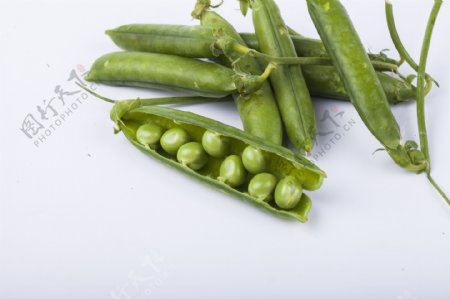 常见的蔬菜之豌豆3