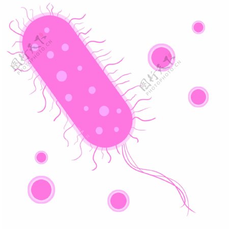 分散细菌装饰插画
