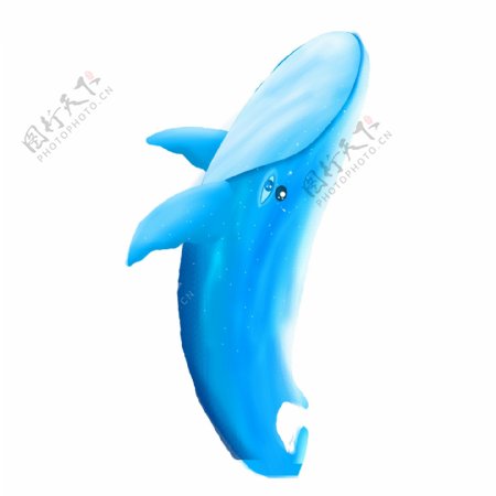 蓝色清新鲸鱼动物设计