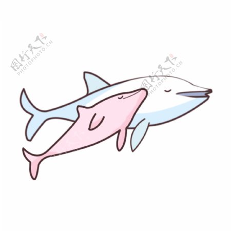 温馨的海豚母子亲情海洋动物