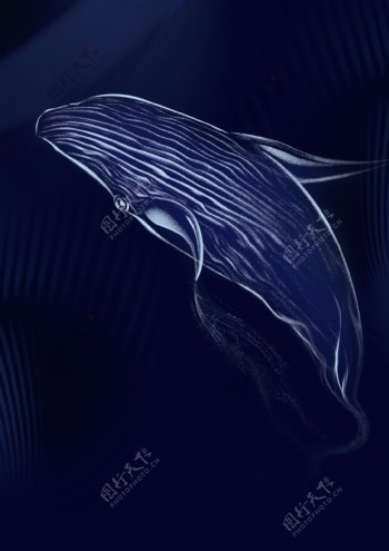 地产蓝色鲸鱼