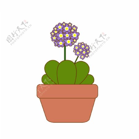 植物紫色花盆栽卡通手绘