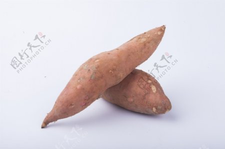 实物图摄影图营养丰富的红薯