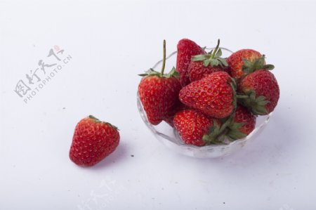 新鲜草莓实物图摄影图2