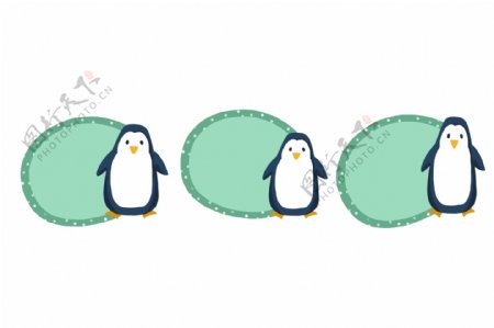 企鹅相框卡通插画