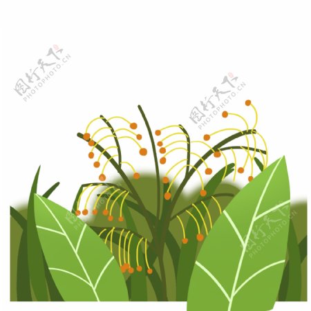 草地草丛植物免抠PNG素材