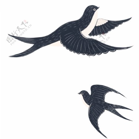 灰色燕子插画图案