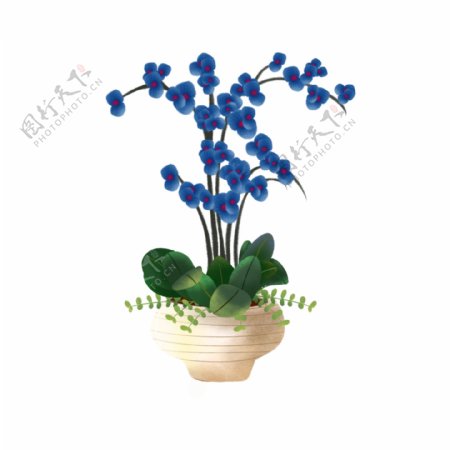 手绘风蓝色植物之蝴蝶兰