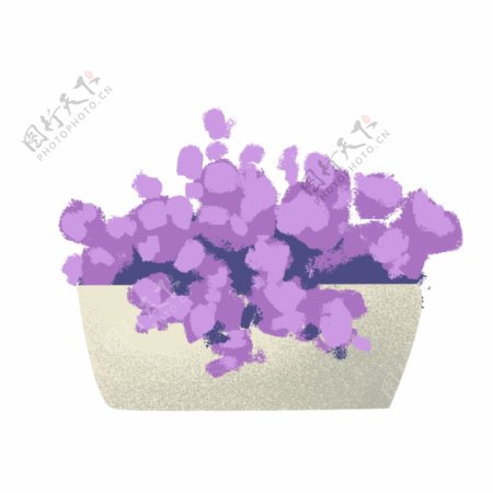 紫色盆栽水彩花朵