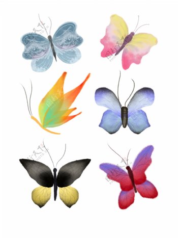 水彩手绘蝴蝶套图