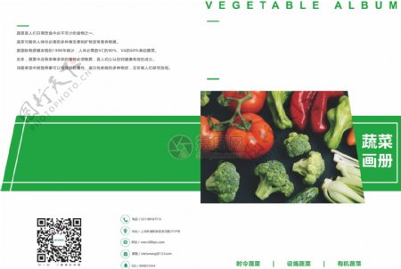 蔬菜画册封面设计