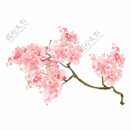 粉色水彩花枝卡通透明素材