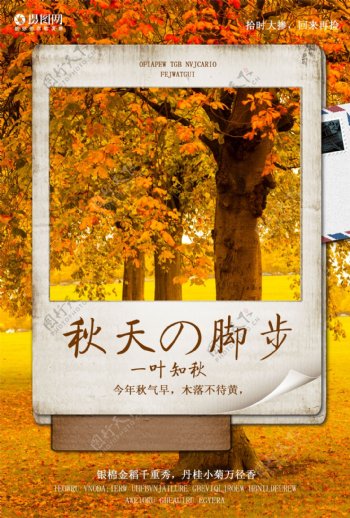 一叶知秋季节海报