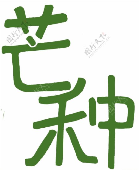 芒种节气手绘字体