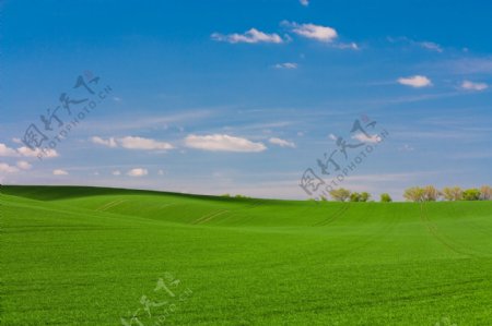 天空绿色草地