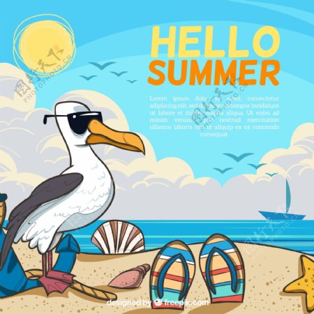 创意夏季沙滩海鸥