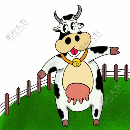 围栏里带铃铛的奶牛