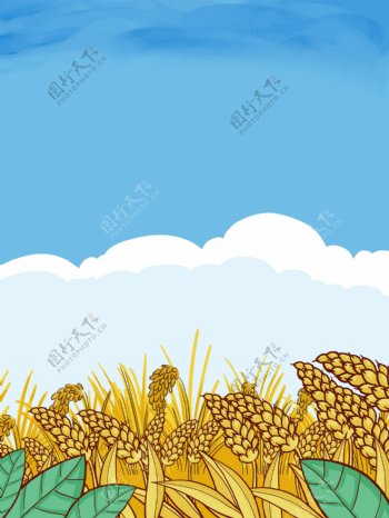 卡通手绘小麦丰收插画背景