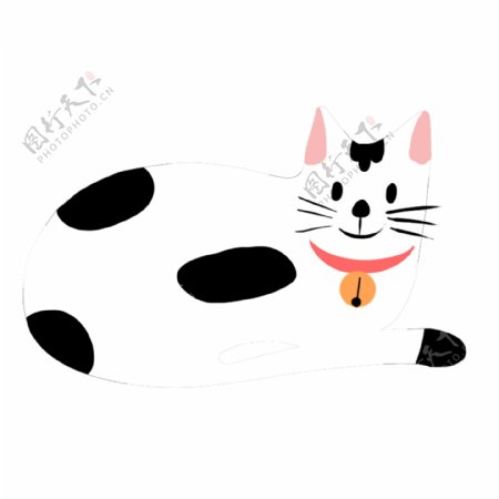 黑白色动物猫猫插画