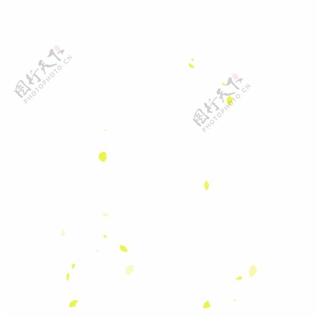 黄色花瓣漂浮点缀