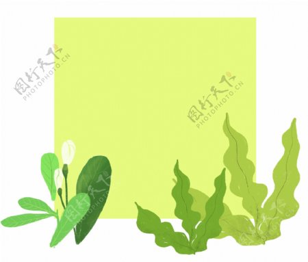植物水草边框插画