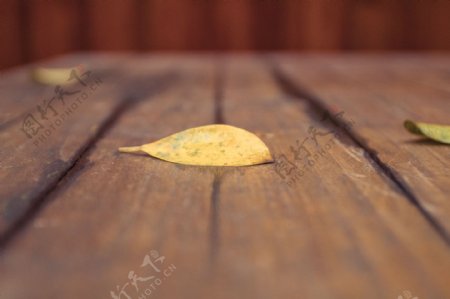 木板上的落叶商用背景图