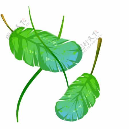 绿色热带植物