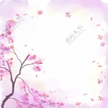 水彩樱花方形边框