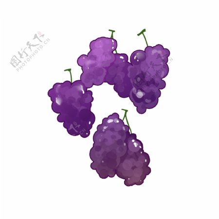 美味紫色葡萄