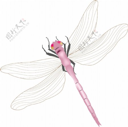 卡通春天粉色小蜻蜓
