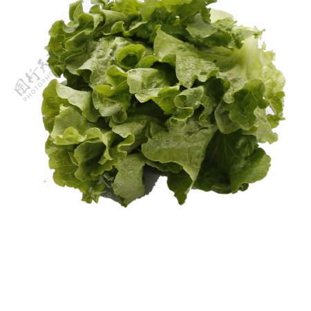 绿色的蔬菜免抠图