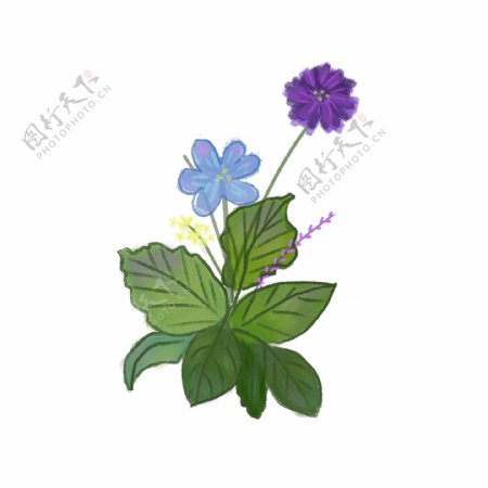 小清新的蓝紫色花朵