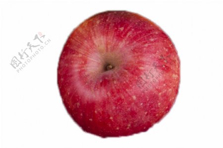 又圆又大的红苹果
