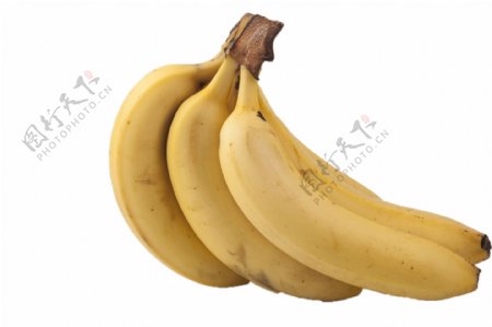 一大串美味的香蕉