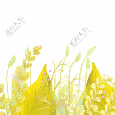 秋天黄色植物叶子