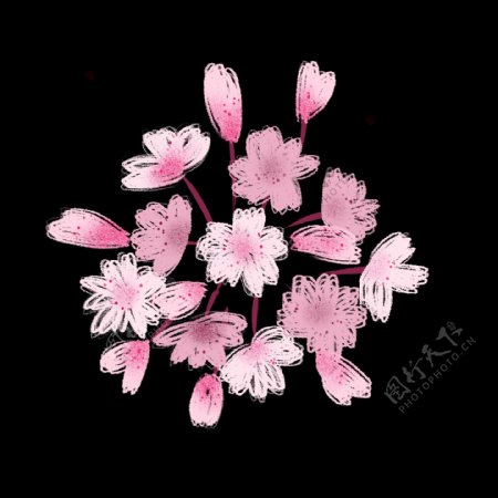 春天的粉色樱花插画