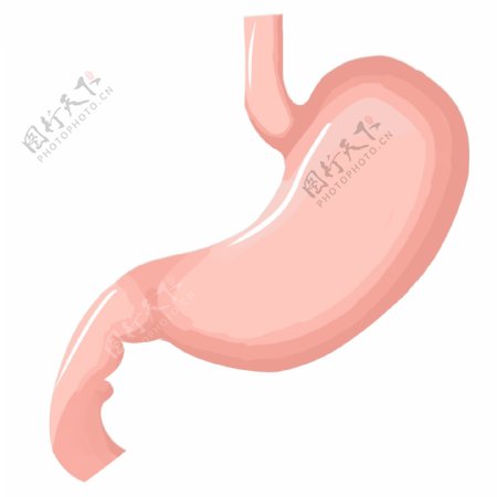 粉色的胃装饰插画