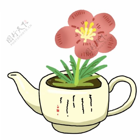白色茶壶植物插图