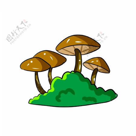 棕色立体蘑菇插图