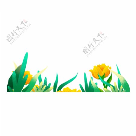水彩植物花朵装饰PNG免抠图