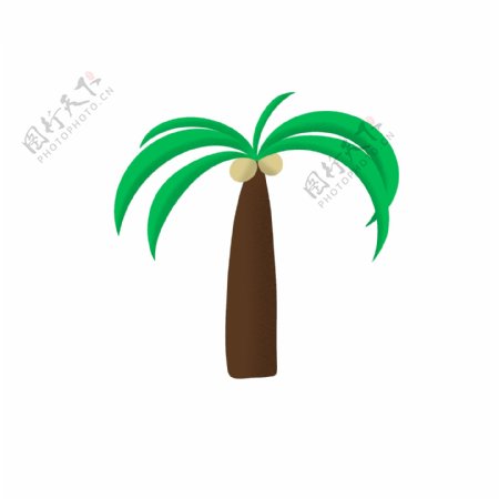 椰子树热带树木小清新